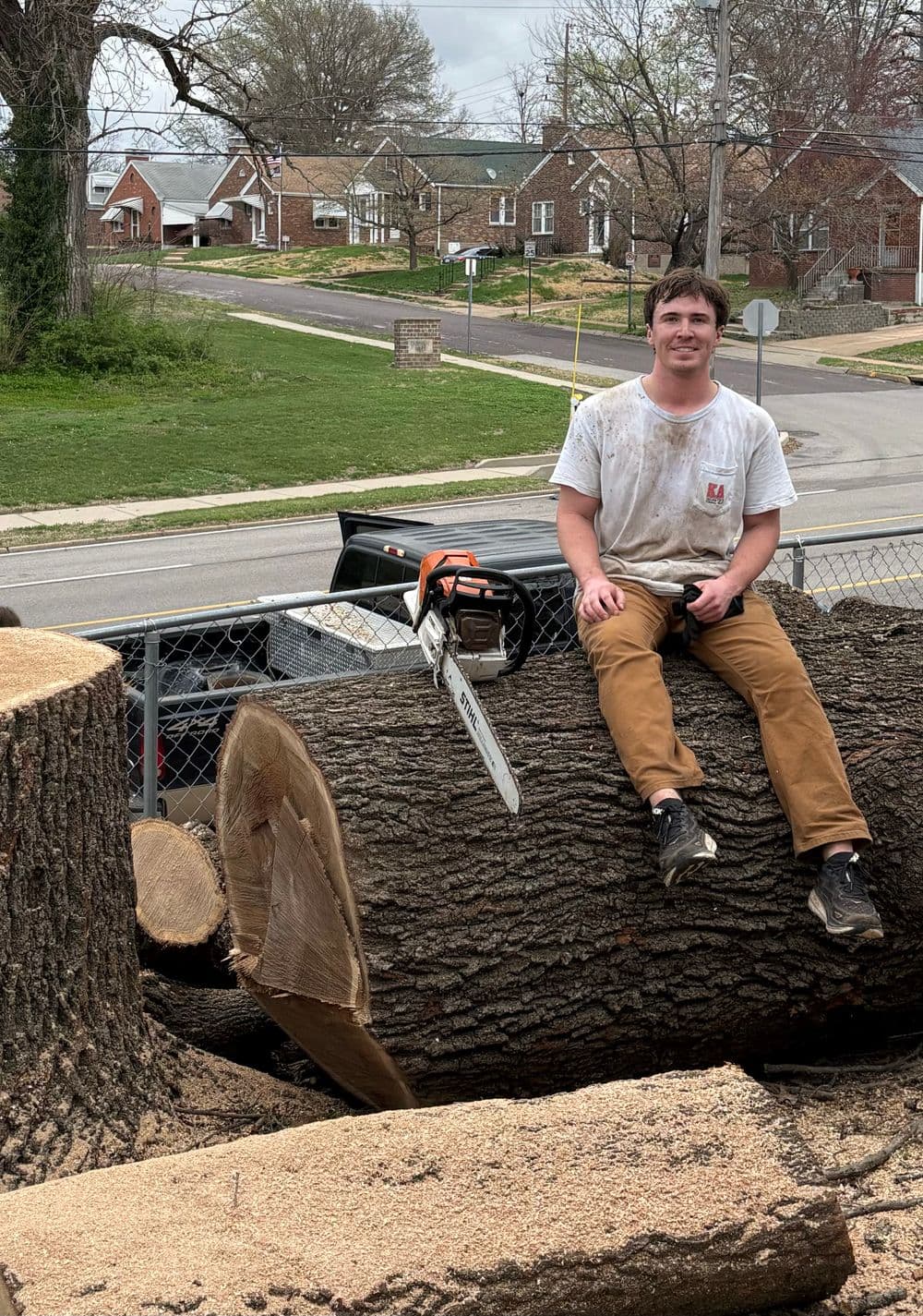 About Sage Tree Experts